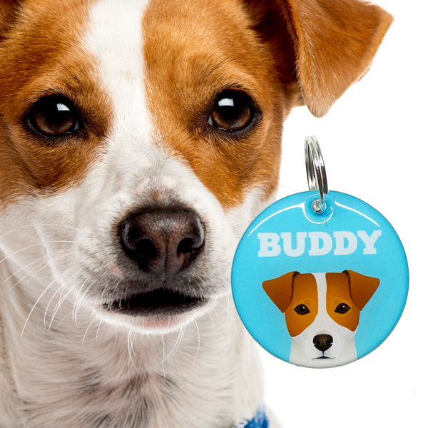 Jack Russell Terrier Best In Breed Bashtags Personalized Dog Tags by Blank Sheet