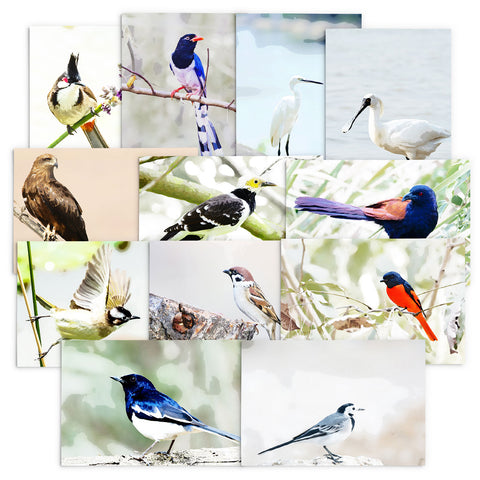 Hong Kong Birds Note Cards by Blank Sheet