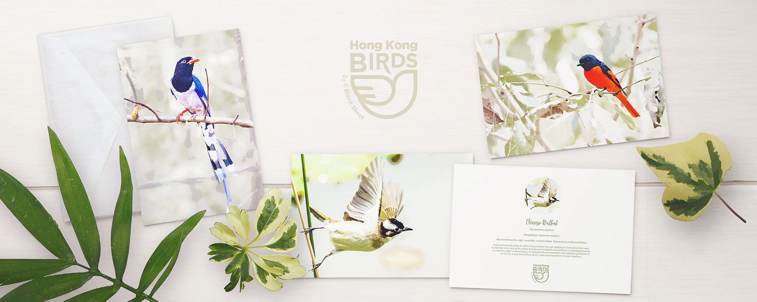 Hong Kong Birds Note Cards