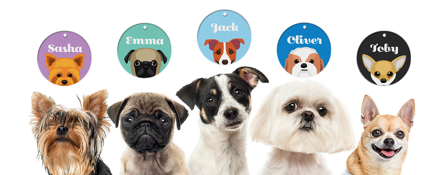 Best In Breed Dog Name Tags