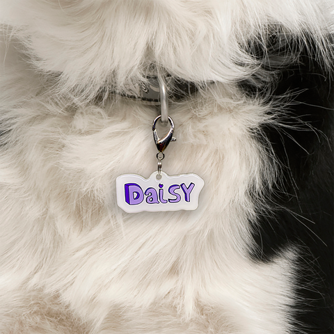 3D Handwriting - Typography Pet ID Tag