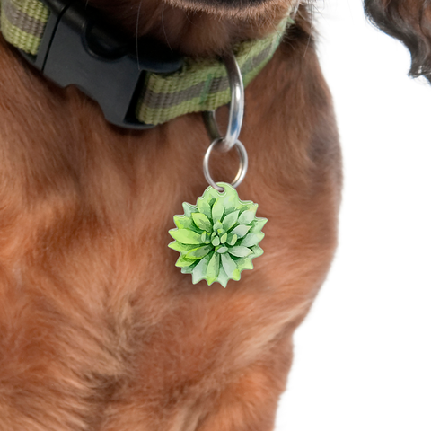 Agave - Blooms & Blossoms Pet ID Tag