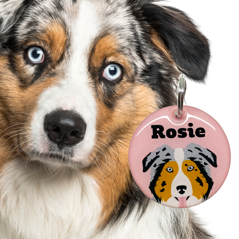 Australian Sherpard | Best in Breed Bashtags | Personalized Dog Tags by Blank Sheet