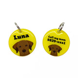 Chocolate Labrador Retriever | Best in Breed Bashtags | Personalized Dog Tags by Blank Sheet
