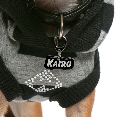 Goofy Type - Typography Pet ID Tag