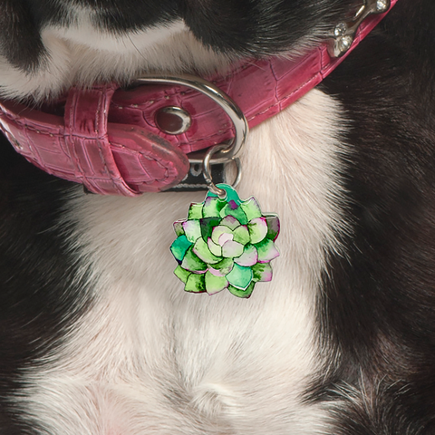 Pink Jade - Blooms & Blossoms Pet ID Tag