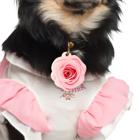 Rose - Blooms & Blossoms Pet ID Tag