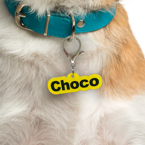 Arial Bold Font - Typography Pet ID Tag