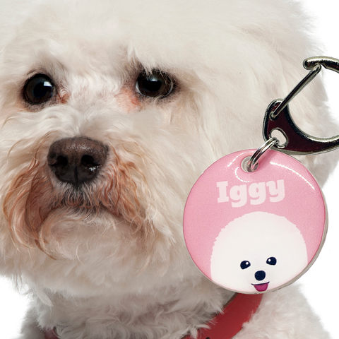 Bichon Frise | Best In Breed Bashtags | Personalized Dog Tags by Blank Sheet
