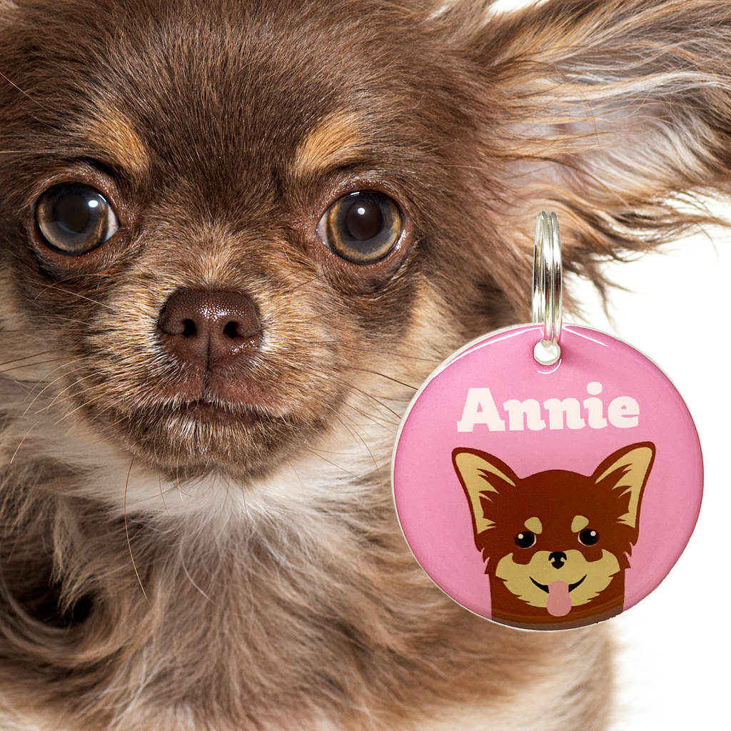 Brown Chihuahua | Best in Breed Bashtags | Personalized Dog Tags by Blank Sheet