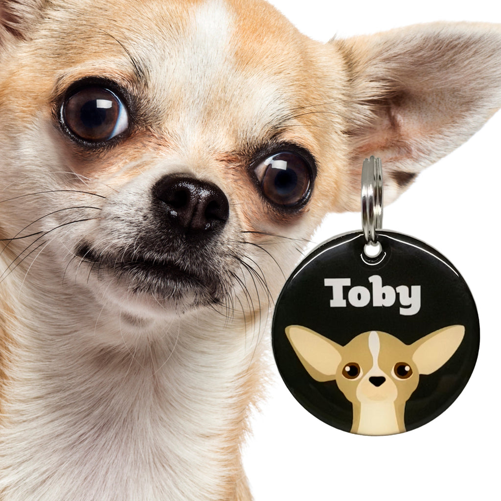 Tan Chihuahua | Best in Breed Bashtags | Personalized Dog Tags by Blank Sheet