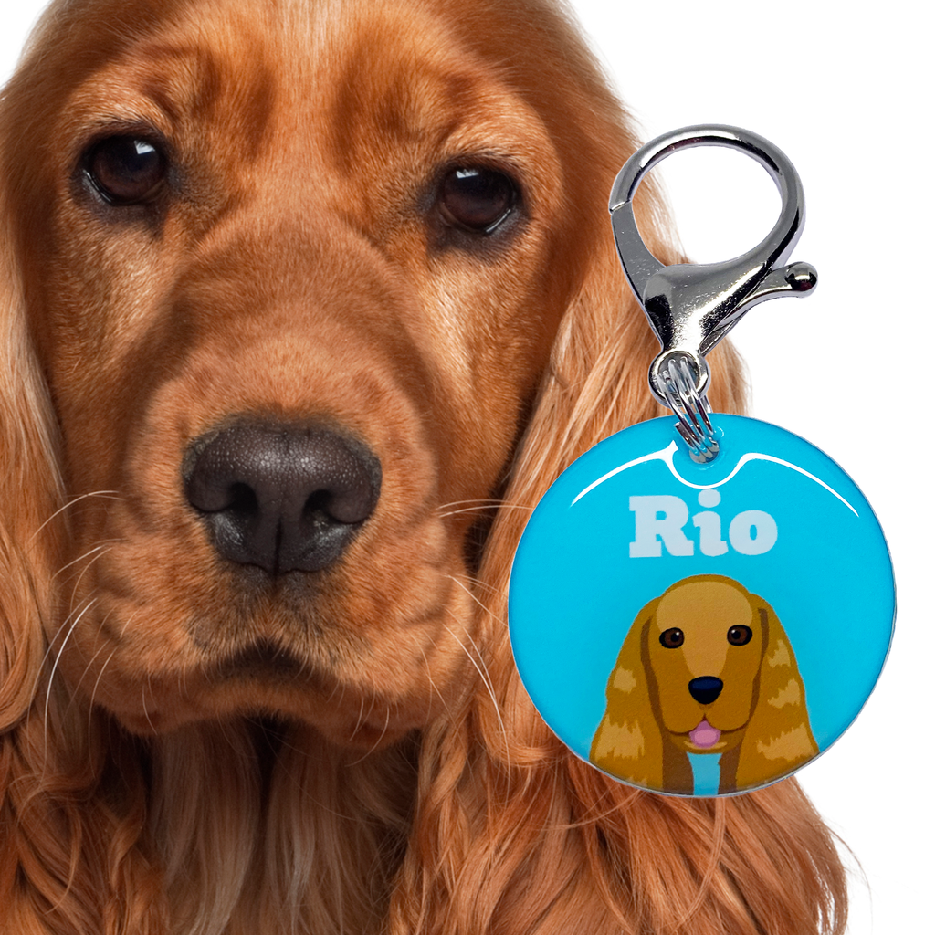 Embroidered dog tags shop