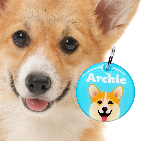 Welsh Corgi | Best in Breed Bashtags | Personalized Dog Tags by Blank Sheet