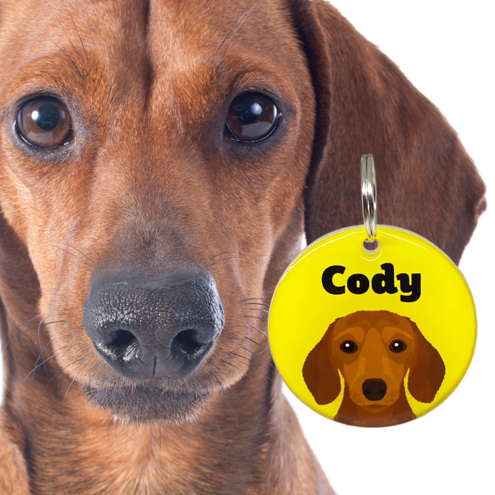 Dachshund Best in Breed Dog Tag