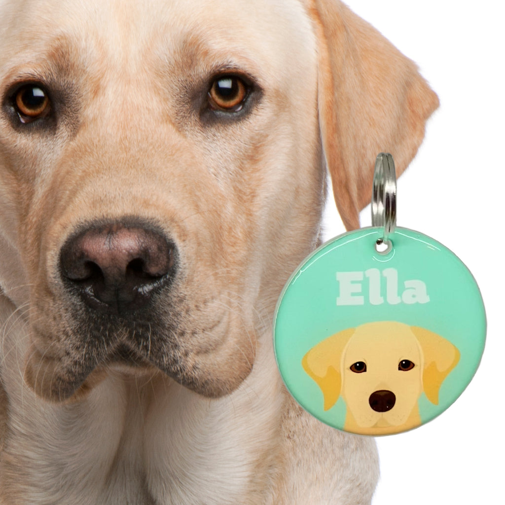 Labrador Retriever | Best in Breed Bashtags | Personalized Dog Tags by Blank Sheet