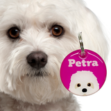 Maltese | Best in Breed Bashtags | Personalized Dog Tags by Blank Sheet