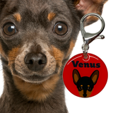 Miniature Pinscher | Best in Breed Bashtags | Personalized Dog Tags by Blank Sheet
