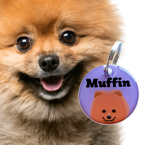 Pomeranian | Best in Breed Bashtags | Personalized Dog Tags by Blank Sheet
