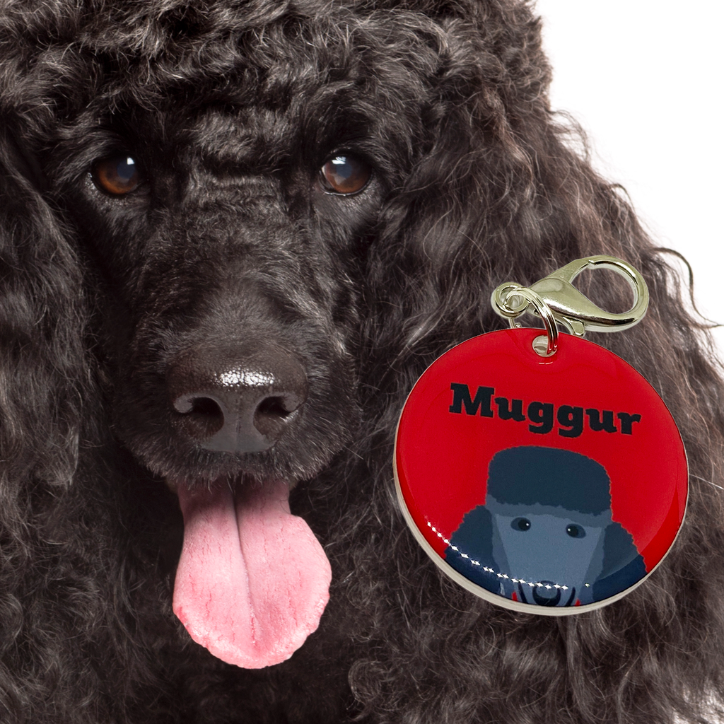 Dark Grey Standard Poodle | Best in Breed Bashtags | Personalized Dog Tags by Blank Sheet