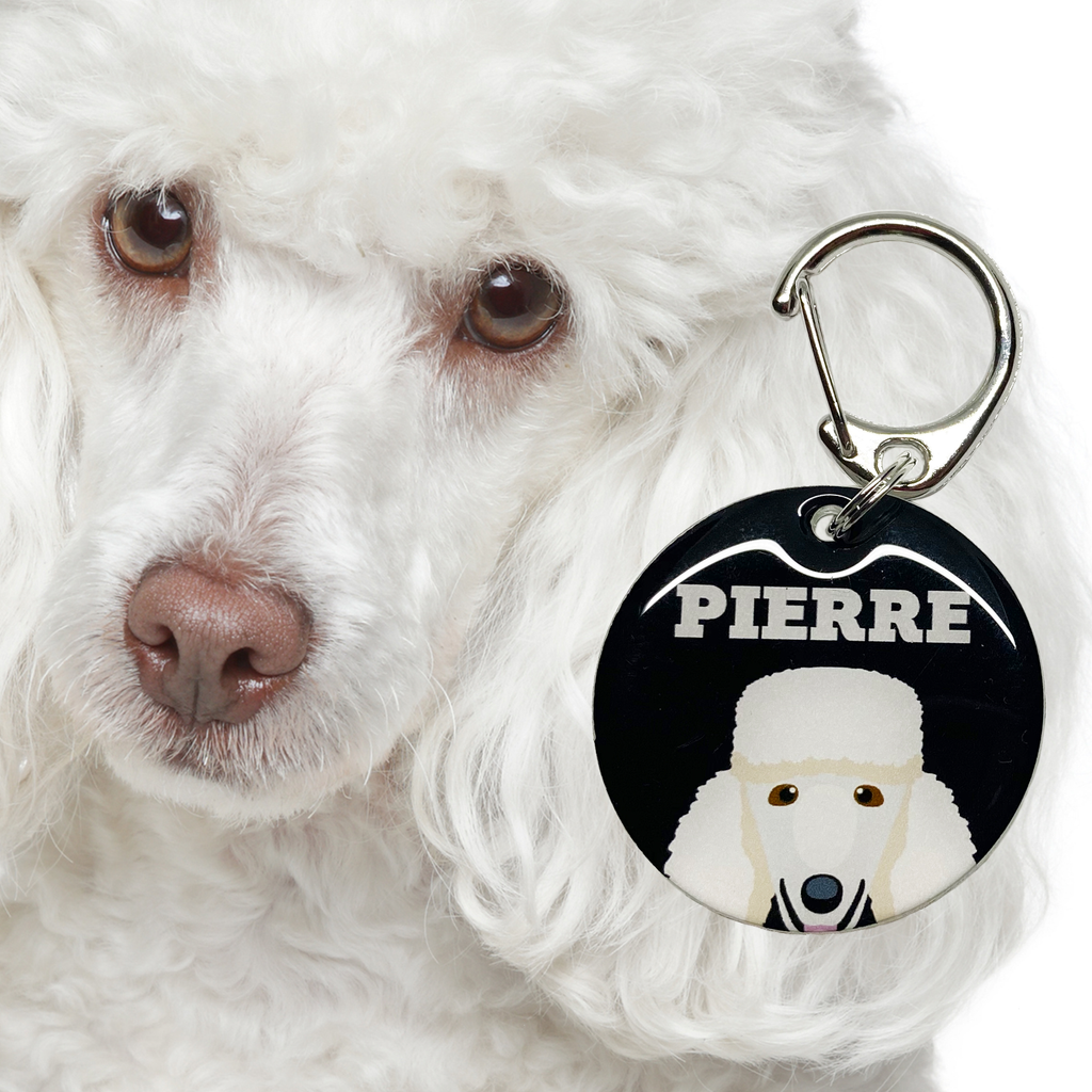 White Standard Poodle | Best in Breed Bashtags | Personalized Dog Tags by Blank Sheet