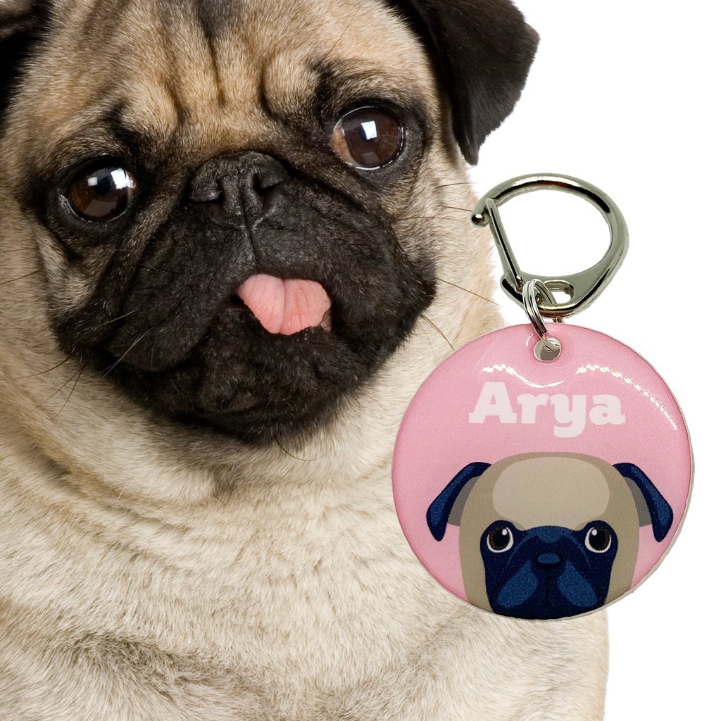 Pug | Best in Breed Bashtags | Personalized Dog Tags by Blank Sheet