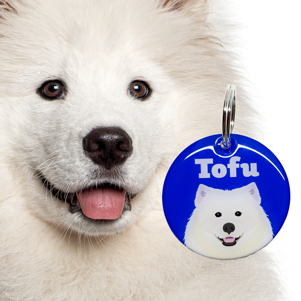 Samoyed | Best In Breed Bashtags | Personalized Dog Tags by Blank Sheet