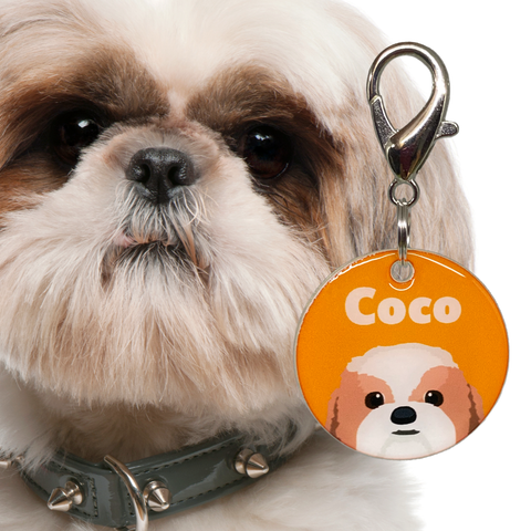 Shihtzu | Best In Breed Bashtags | Personalized Dog Tags by Blank Sheet