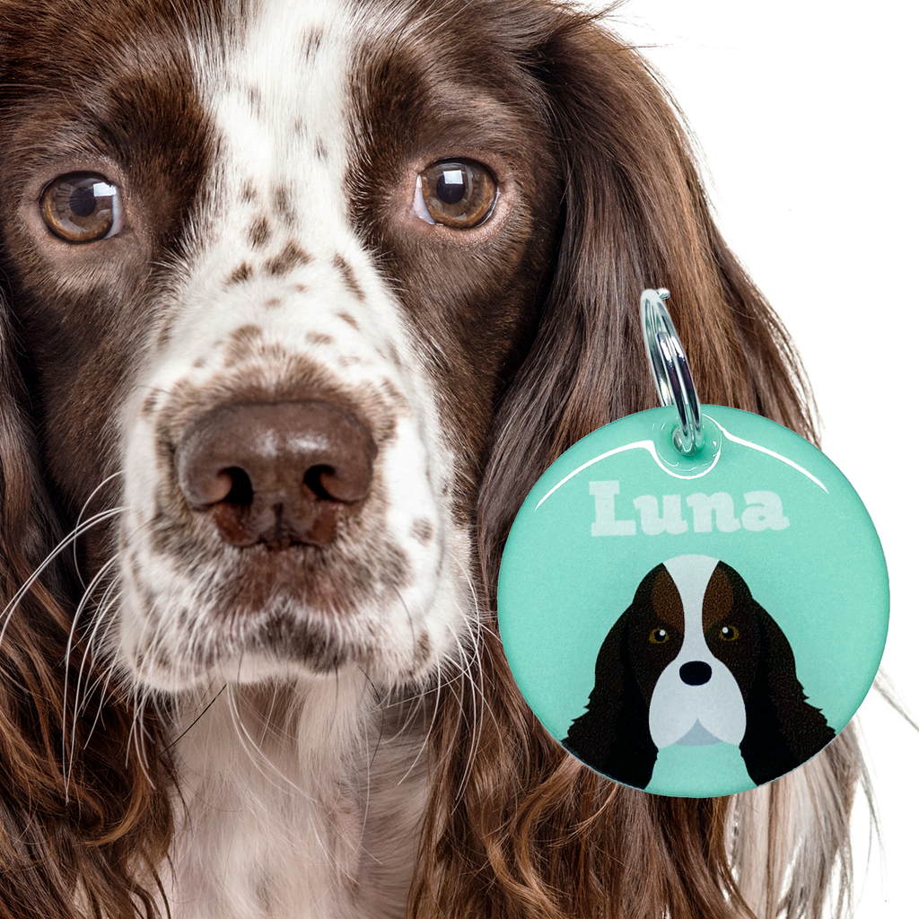 Springer Spaniel | Best In Breed Bashtags | Personalized Dog Tags by Blank Sheet