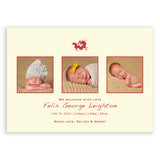 Three Moments with Dragon | Birth Announcements by Blank Sheet