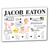 Baby First Year Milestones Canvas R001