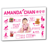 Baby First Year Milestones Canvas R003