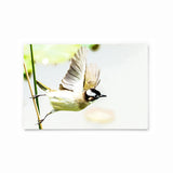 Chinese Bulbul | Hong Kong Birds Note Cards by Blank Sheet