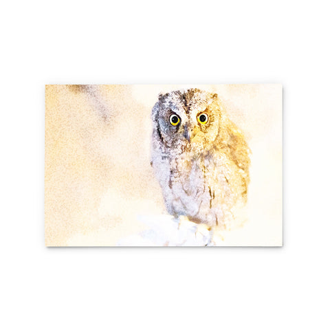 Collared Scops Owl | Hong Kong Birds Note Cards by Blank Sheet