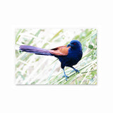 Greater Coucal | Hong Kong Birds Note Cards by Blank Sheet