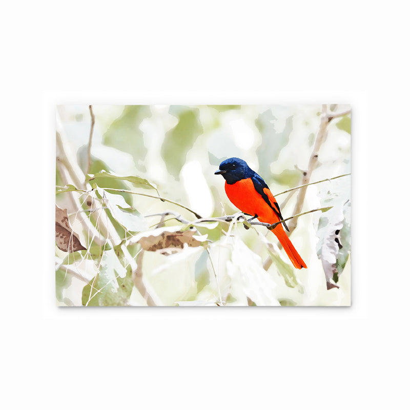 Scarlet Minivet | Hong Kong Birds Note Cards by Blank Sheet