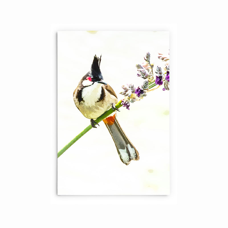 Red-Whiskered Bulbul | Hong Kong Birds Note Cards by Blank Sheet