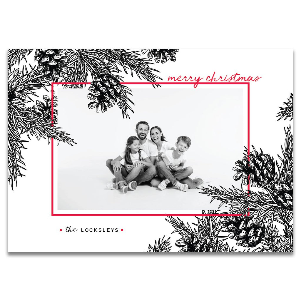 Pine Cones | Holiday Cards and Christmas Cards by Blank Sheet