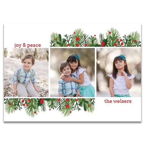 Noel Fir | Holiday Cards and Christmas Cards by Blank Sheet