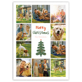 Christmas Gallery | Holiday Cards and Christmas Cards by Blank Sheet