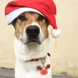 Gingerbread Reindeer Bashtags®  | Personalized Pet ID Tags for Dogs & Cats by Blank Sheet