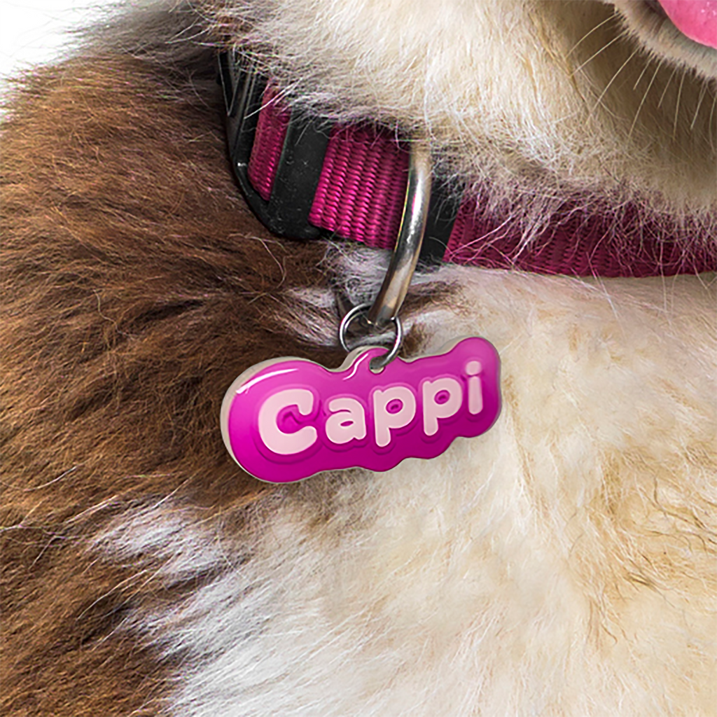 Jelly Beans Font - Typography Pet ID Tag