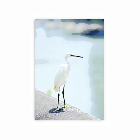 Little Egret | Hong Kong Birds Note Cards by Blank Sheet