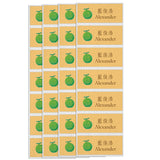 Fabric iron-on name labels 