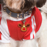 Gingerbread Reindeer Bashtags®  | Personalized Pet ID Tags for Dogs & Cats by Blank Sheet