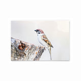 Eurasian Tree Sparrow | Hong Kong Birds Note Cards by Blank Sheet