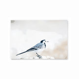 White Wagtail | Hong Kong Birds Note Cards by Blank Sheet