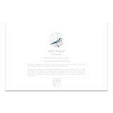 White Wagtail | Hong Kong Birds Note Cards by Blank Sheet